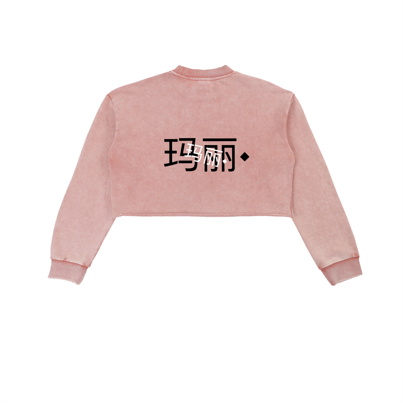 Snow Washed Raw Edge Cropped Sweatshirt