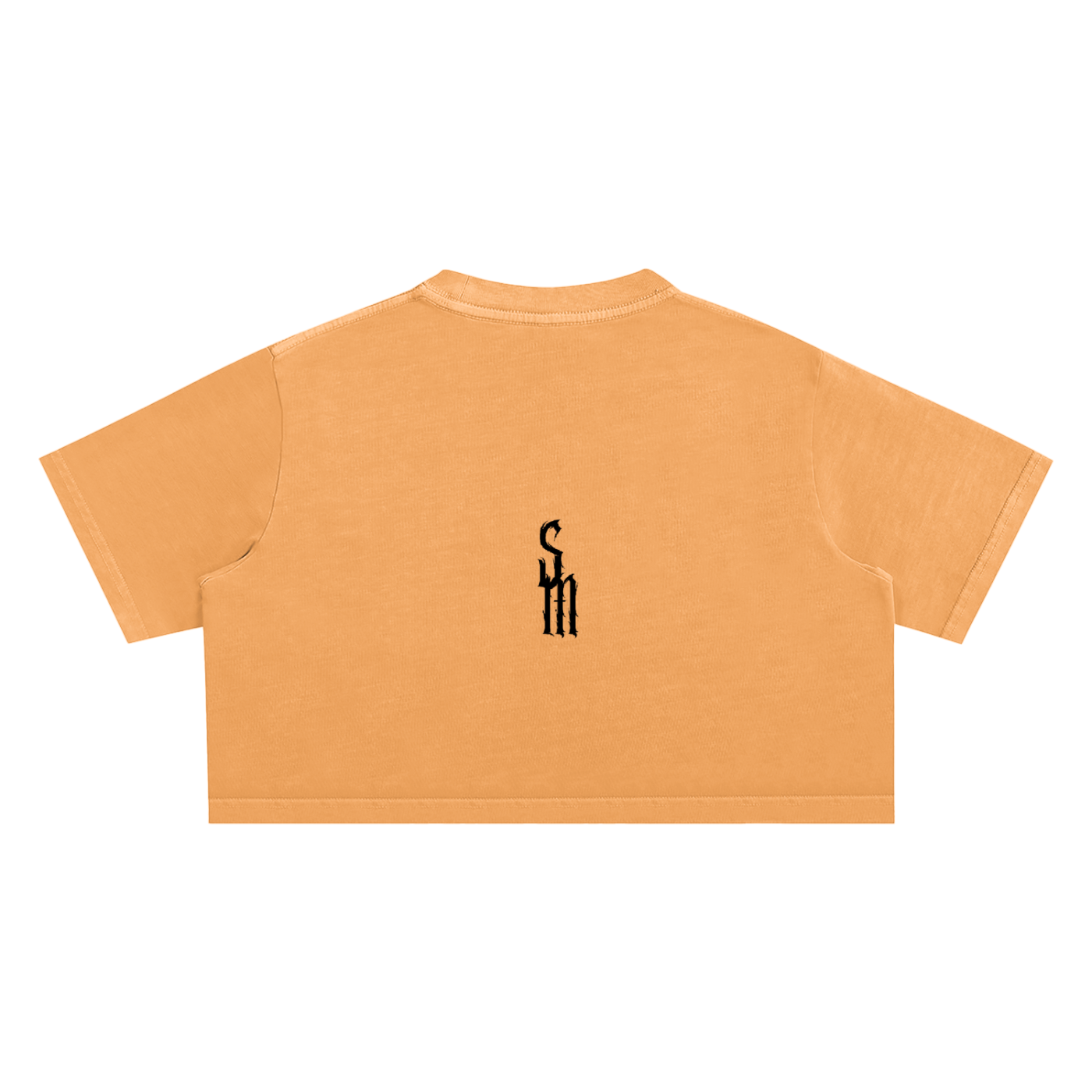 Snow Washed Crop Top