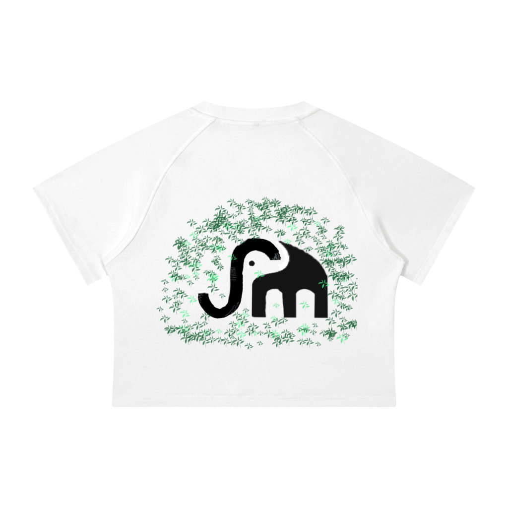 Women's Mineral Wash Raglan Crop T-Shirt