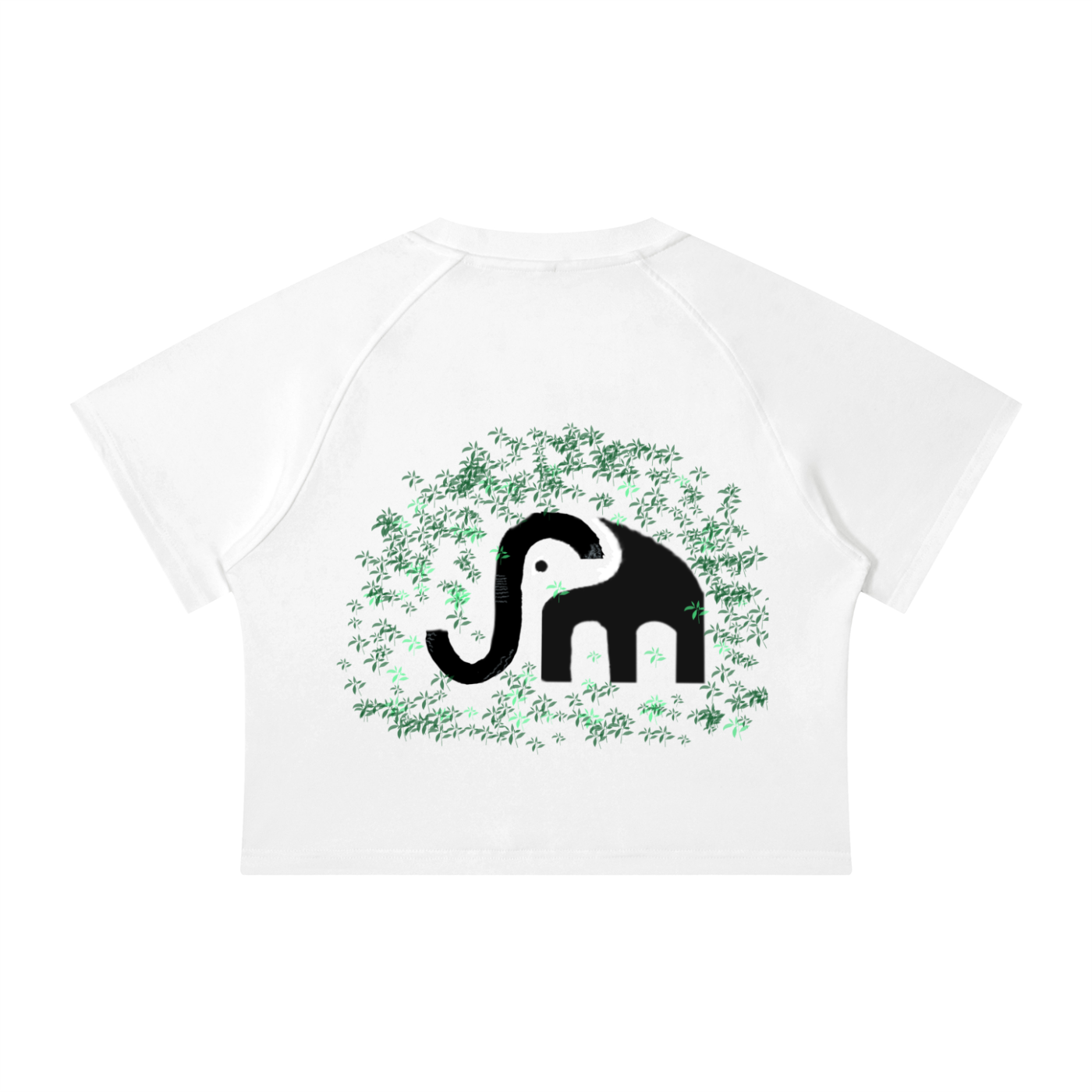 Women's Mineral Wash Raglan Crop T-Shirt