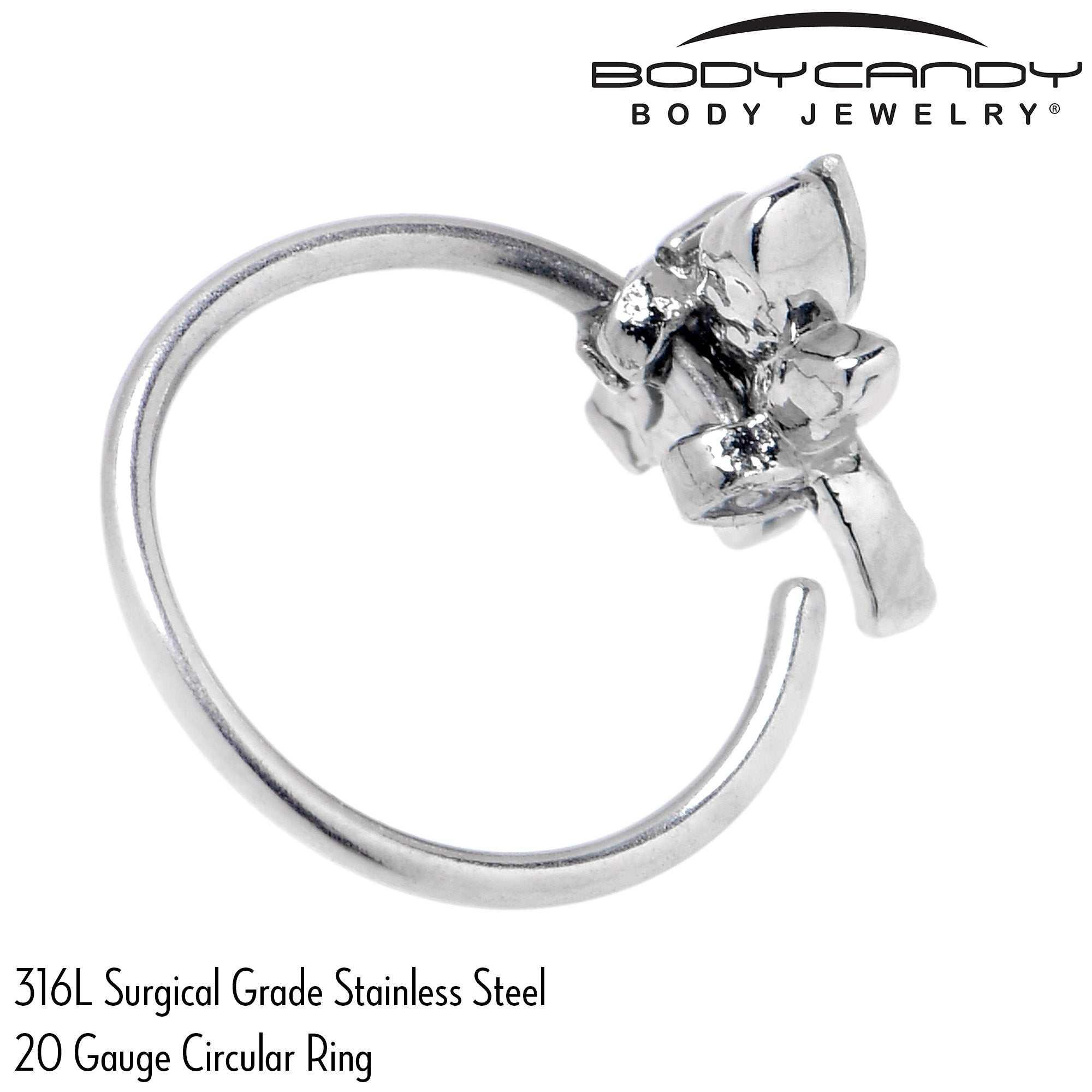 20G 5/16 Aurora CZ Gem Understated Dragonfly Nose Hoop