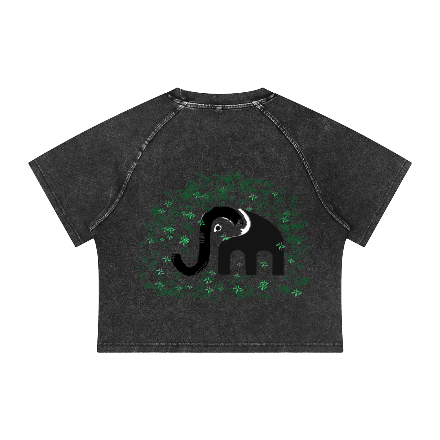Women's Mineral Wash Raglan Crop T-Shirt